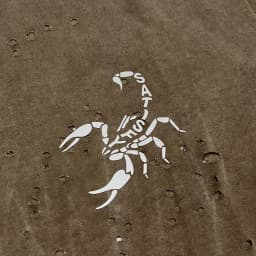 Satisfy Running Wormhole Scorpion Reflective Print Short Sleeve T-Shirt