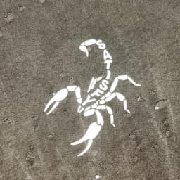 Satisfy Running Wormhole Scorpion Reflective Print Short Sleeve T-Shirt