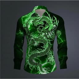 Hawaii Men's 3D Printed Dragon Print Roll-down Button-down Shirt Outdoor Street Long Sleeve Clothing Fashion Casual Beach Style