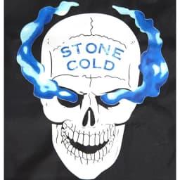 WWF Stone Cold Steve Austin 316 Smoking Skull Vest Attitude Era New Vintage Merchandise Collectible