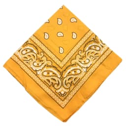 1/8/10Pcs Bohemian Print Bandana Paisley Pattern Headbands Hiphop kerchief Outdoor Unisex Headband Wrist Wraps Face Mask