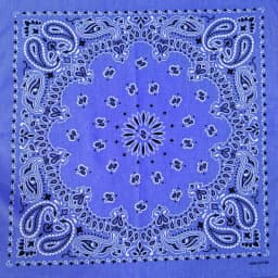 New Fashion Hip Hop 100% Cotton Bandana Square Scarf 55cm*55cm Black Red Paisley Headband Printed For Women/Men/Boys/Girls