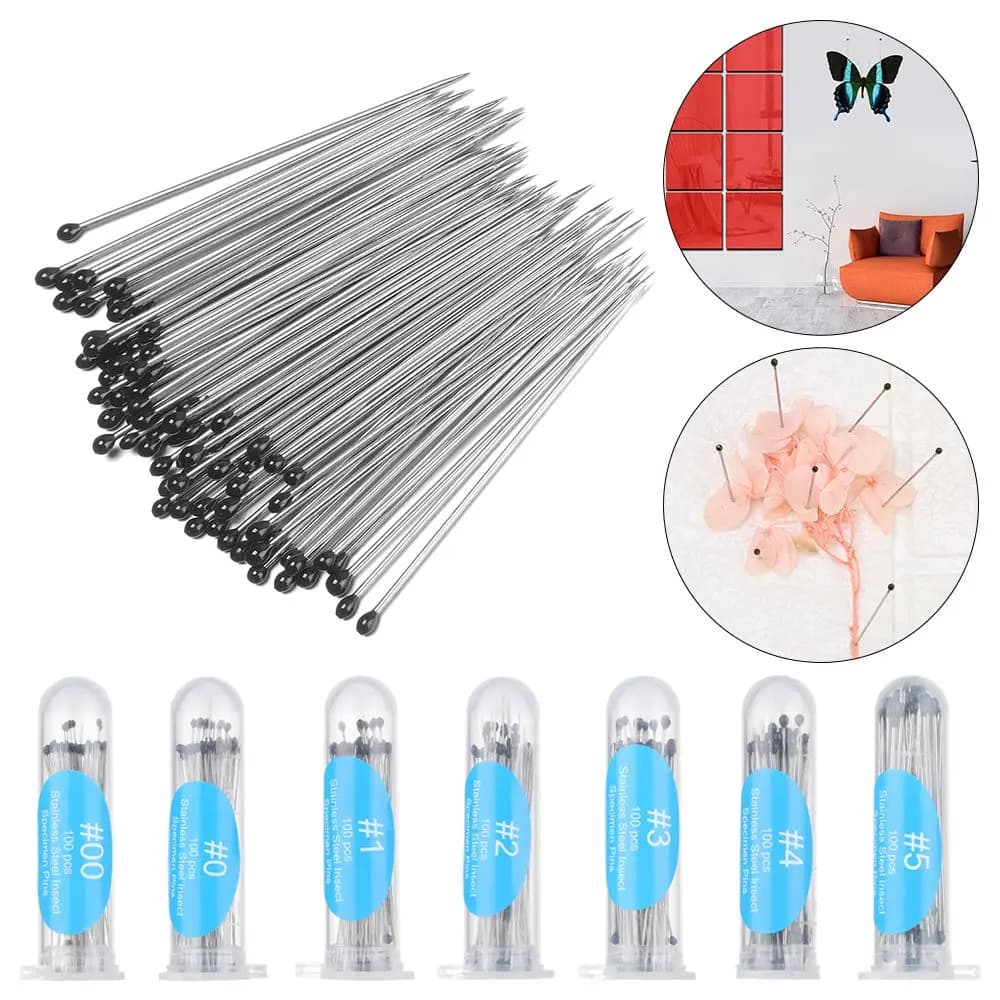 100Pcs Stainless Steel Specimen Needle Insect Pins With Plastic Box For School Lab Education Entomology Body Dissection