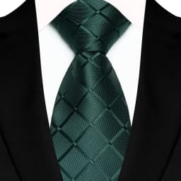 Luxury 8CM Mens Necktie Plaid & Checks Ties For Man Groom Groomsman Jacquard Woven Ascot Formal Business Party Accessories