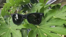 Men's Polarized Sunglasses Classic Fashion UV400 Women's Glasses Driving Outdoor Travel Glasses Cool 2140