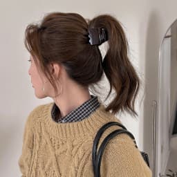 High ponytail with hair clips, updo, shark clips, half-up hairpins