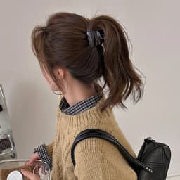 High ponytail with hair clips, updo, shark clips, half-up hairpins