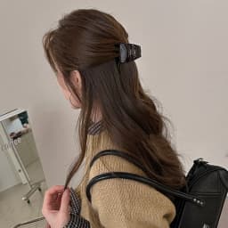 High ponytail with hair clips, updo, shark clips, half-up hairpins