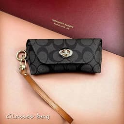 Fashion Retro Sunglasses Case Portable Trend Drop-proof Eyeglasses Case Storage and Protection Gold Pendant Myopia Glasses Bag