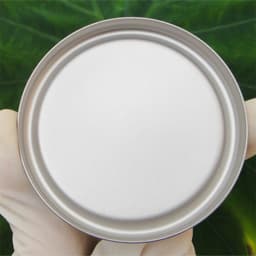 300ml Keith Titanium Cup Double-wall Mug With Lid Anti-acid No Scale Drinkware For Camping Picnic Hiking Ti3302
