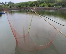 Finefish Strong Nylon Line Moving Small Mesh Fishing Net Carried Automatic Lobster Catch Fish Net Manual Pick Gillnet Cast Nets