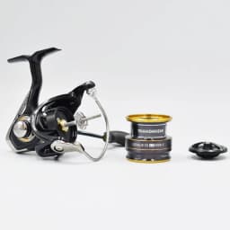 2021 DAIWA LEGALIS CS LT Fishing reel 2000/2500/3000C/4000C Light body 6+1BB LC-ABS Metail Spool 5-12KG Power Ultraleve185g-325g