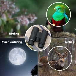 Svbony SA205 Binoculars 8X42/10X42 ED Flat-field Professional IPX7 Waterproof BAK4,Bird Watching,Stargazing,Camping,Astronomy
