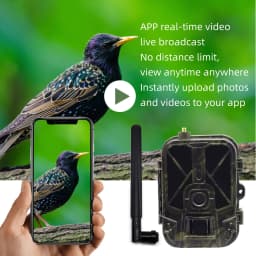 Night Vision Hunting Camera 4G Tracking with App Control 8000mAh Li-Battery 120° Detection Cloud Service Wireless Game Scout Cam