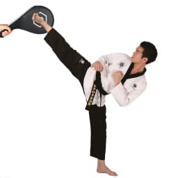 Force Test Kick Pad Boxing Taekwondo Kickboxing Power Meter Paddle Impact Measure