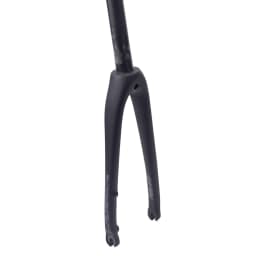 SILVEROCK Carbon Fork  20in 406 451 Flat Mount Disc Brake Caliper 74mm 100mm for FNHON DAHON JAVA Minivelo Bicycles 450mm Long