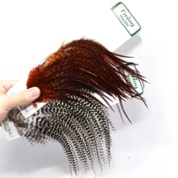 New Ewing Feather Rooster Saddle Woolly Bugger Feather Pack 5 Optional Colors Streamer Fly Pattern Special Fly Tying Feathers