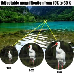 Borwolf 10-380X100 High Magnification Long Range Zoom 10-60 Times Hunting Telescope Binoculars HD Professiona Zoom