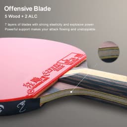 DHS 9 Star Table Tennis Racket Professional 5 Wood 2 ALC Offensive Ping Pong Racket with Hurricane Sticky Rubber