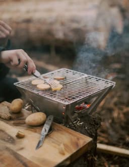 Fire Maple Camping Wood Stove Stainless Outdoor Portable Folding Wood Burning Stoves for Backpacking Picnic Hiking