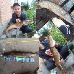 BIUTIFU BIGFISH Carp Surfcasting Fishing Rod 3.0/3.6/3.9/4.2/4.5m T800Carbon 3.5lb Shore Casting 40-200g Spinning Hard Rock Pole
