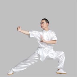 Chinese Tai Chi Shaolin Kung Fu Uniform Wushu Clothing Martial Art Suit Taiji Wushu Costume Wing Chun Stage Performance