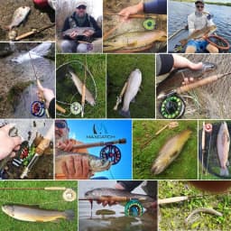 Maximumcatch V-Gold 9FT Fly Fishing Rod 4/5/6/8 WT 4Pcs Fast Action Pacbay Guides Fly Rod with a Triangle Rod Tube