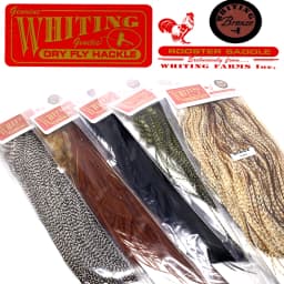 Whiting 20 Feathers Grizzly Natural/Dyed Fly Tying Feathers 9-11 Inches Long 18#20# Midge Rooster Saddle Dry Flies Tying Materia