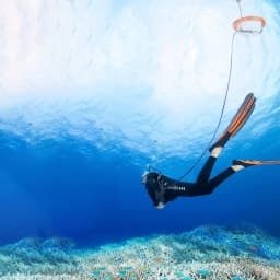 Scuba Diving Respirator, Secondary Head Adjustment, Respirator, Breathing Filter, Mouthpiece Strap, Snorkeling Equipment