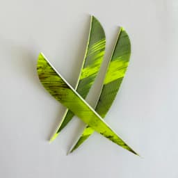 50 Pcs 4" Parabolic Camo Arrow Feathers Fletching Right Wing Archery Fletches 4 Inch For Hunting Bow Accessories