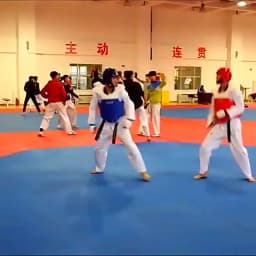 8pcs High Quality Taekwondo Protectors Suite WTF Approved Shin Forearm Chest Guard Karate Helmet Groin Guard TKD Glove Shoeswear