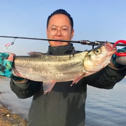 HASIDA Archangel Rod Combo Organic Whole Handle Ultra Grade High Carbon Fuji K SIC Guide Fishing Pole & Spin Baitcast Wheel Set