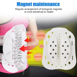 Lower Back Brace Lumbar Support Belt with Pulley System for Lower Back Pain Relief, Herniated Disc,Sciatica,Scoliosis Back Brace