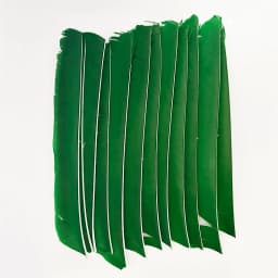 100Pcs Left Wing Archery Arrow Spiral Twist Wrap Full Lenght Feathers 18-25 CM Real Turkey Fletches Hunting Fletching DIY
