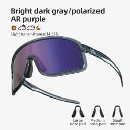 ROCKBROS Cycling Glasses Outdoor Sports Polarized Glasses UV400 Sunglasses MTB Road Bicycle Myopia Goggles For Men Women