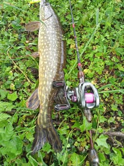 KINGDOM 135g Micro Monster Baitcasting Fishing Reel Ultralight Carbon Fiber Two Spools 7.1:1 8+1BB Max Drag 4KG Fishing Coil