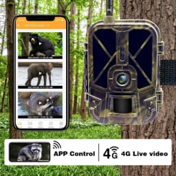 4K 120MP 4G Tracking Hunting Camera with Night Vision APP Control SMTP 8000mAh Lithium Battery for Wildlife Reconnaissance