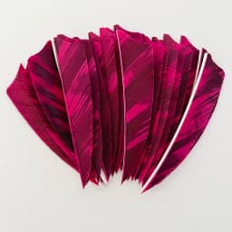 50Pcs 3 Inch Arrow Feathers Fletching Shield Cut Right Wing Ink Painting Turkey Feather Vanes Archery DIY Accessories