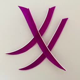 50Pcs/lot 5 Inch Traditional Kyudo Carbon Arrow Feather Fletching Knife Shape Right Wing Turkey Vanes Archery Accessories