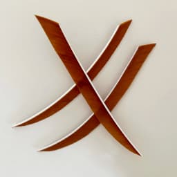 50Pcs/lot 5 Inch Traditional Kyudo Carbon Arrow Feather Fletching Knife Shape Right Wing Turkey Vanes Archery Accessories