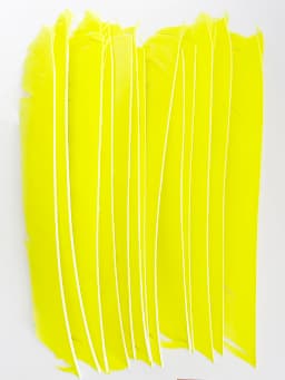 LW 50 Pcs Full Length (7-10 inch) Archery Fletches Natural Tureky Feathers Hunting Arrow Fletching for Bow DIY Accessories