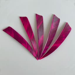50pcs 3/4/5inch Archery Arrow Feather Fletching Ink Painting High Quality Real Archery Fletches Bow And Arrow Accessories