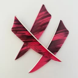 50pcs 3/4/5inch Archery Arrow Feather Fletching Ink Painting High Quality Real Archery Fletches Bow And Arrow Accessories