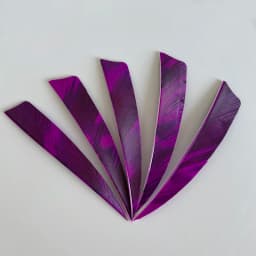 50pcs 3/4/5inch Archery Arrow Feather Fletching Ink Painting High Quality Real Archery Fletches Bow And Arrow Accessories
