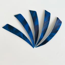 50pcs 3/4/5inch Archery Arrow Feather Fletching Ink Painting High Quality Real Archery Fletches Bow And Arrow Accessories