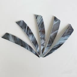 50pcs 3/4/5inch Archery Arrow Feather Fletching Ink Painting High Quality Real Archery Fletches Bow And Arrow Accessories
