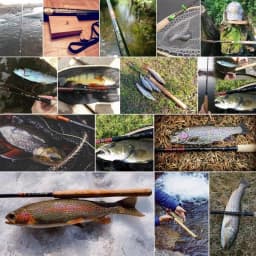 MAXCATCH Tenkara Fly Fishing Rod 9-13FT Telescoping 7:3 Fast Action 9-Section Graphite Rod with Carbon Tube Portable