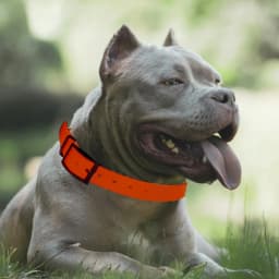 Collar Belt for Garmin Astro 220 320 DC50 T5 TT15 GPS Dog Tracking Collar Antenna Strap