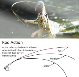 Aventik Ultra Light Fly Rod 6'1'' 0/1WT 6'8'' 2/3WT 7'6'' 3/4WT Lightweight Trout Fly Fishing Rod