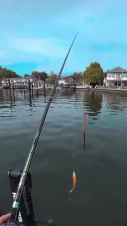 GOMEXUS Carbon Handle for Daiwa Tatula Zillion Abu Okuma Kastking Pisfun Baitcasting Reel Handle 8x5 and Shimano 7X4mm Size